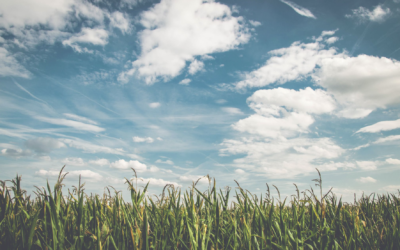 Cultivating Resilience
